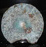 rsz_new_finds_006[1].webp