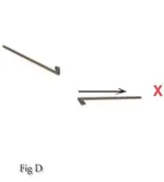 Figure _D.webp