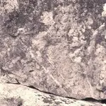 Possibilities Maybe or Just Dreaming 006a.webp