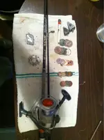 image-3610201455.webp