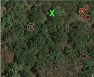 spot 1-billythekidder.webp