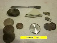 0116REALNUT.webp