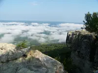 100_3033.webp 100_3033.webp