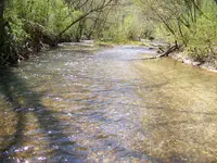 100_2643.webp