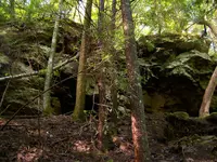 100_3047.webp