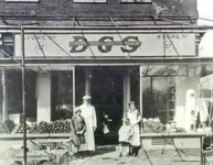 dgs.webp