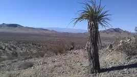 IMAG0754.webp