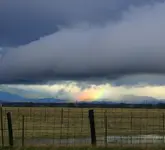 notarainbow.webp