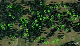 LL90-Glasya.webp