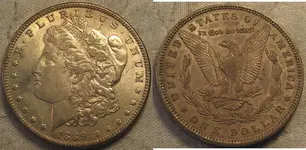 1889 Morgan.webp