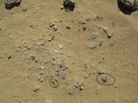 pottery shards.webp