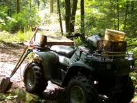 100_3058.webp