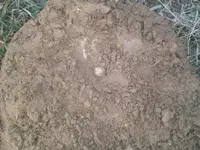image-1667329288.webp
