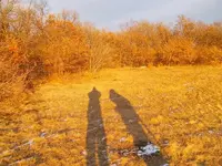 100_5047 (Medium)_2.webp