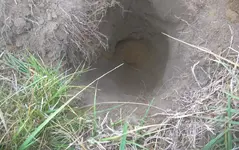 artillery in situ.webp