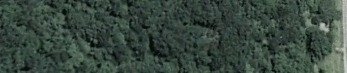 salem grandpal.webp