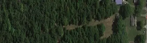 Stumpy .webp