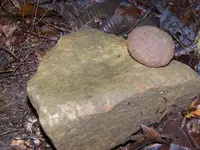 100_3045.webp