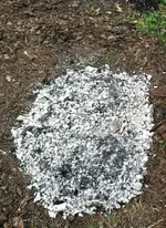 IMG_0466.webp IMG_0466.webp