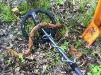 Copperhead.webp