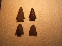 DSCF2654.webp