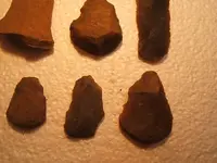 DSCF2663.webp