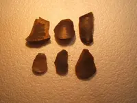 DSCF2665.webp