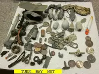 0129NUT.webp