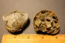IMG_6664 (1024x683).webp IMG_6664 (1024x683).webp