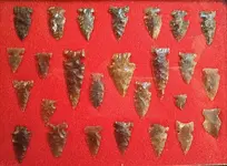 IMG_20130116_212359.webp