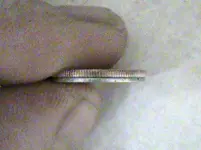 DSC00438.webp