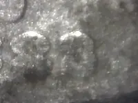2-3 Microscope.webp