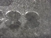 2 Microscope 2.webp