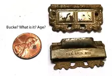 buckle.webp
