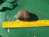 ODD ROCK..... 003.webp