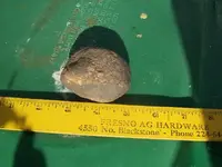 ODD ROCK..... 004.webp
