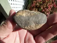 ODD ROCK..... 005.webp