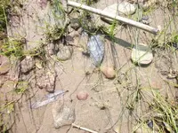 Gilmore Ohio River (12).webp