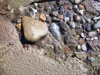 Gilmore Ohio River (31).webp