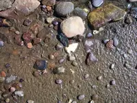 Gilmore Ohio River (33).webp