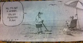 Metal Detecting Comic.webp