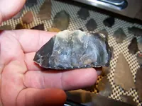100_4141.webp