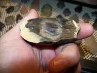 100_4142.webp
