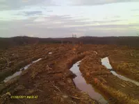 IMAG0046.webp IMAG0046.webp
