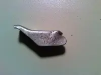 CLASP.webp