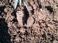 IMG03567-20121203-1106.webp