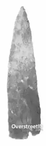 COR-0117.webp