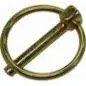 lynch pin.webp