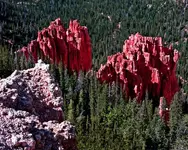 6 06-2 YELLOWSTONE 040-1.webp 6 06-2 YELLOWSTONE 040-1.webp
