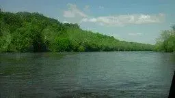 11-65F31F57-185694-960.webp